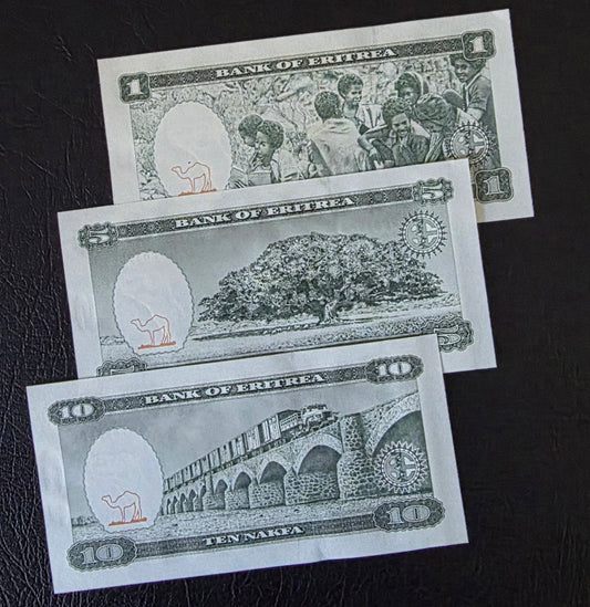 Eritrea Nakfa set of 1, 5 and 10 Nakfa 1990s Gem Uncirculated UNC (3 banknotes)