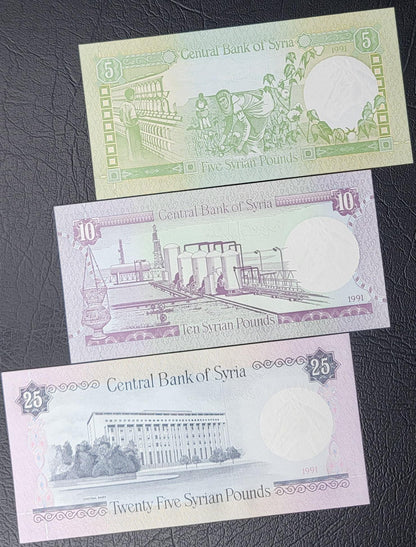 Set of 5, 10, 25, 50 and 100 Lira Syria 1990s Syrian Pounds Uncirculated UNC (5 banknotes) Rare