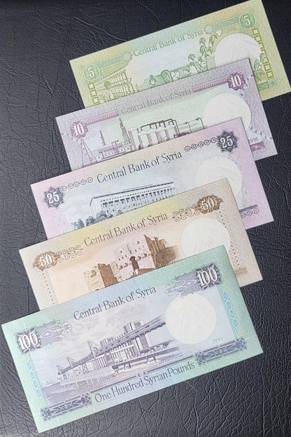 Set of 5, 10, 25, 50 and 100 Lira Syria 1990s Syrian Pounds Uncirculated UNC (5 banknotes) Rare