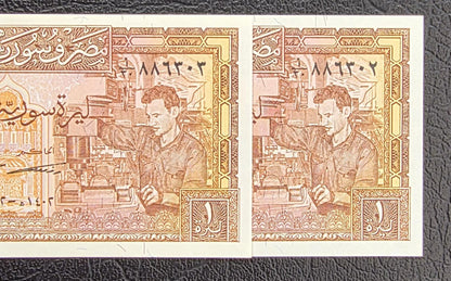One Lira Pound Syria 1963- 1982 Syrian Pounds Uncirculated UNC