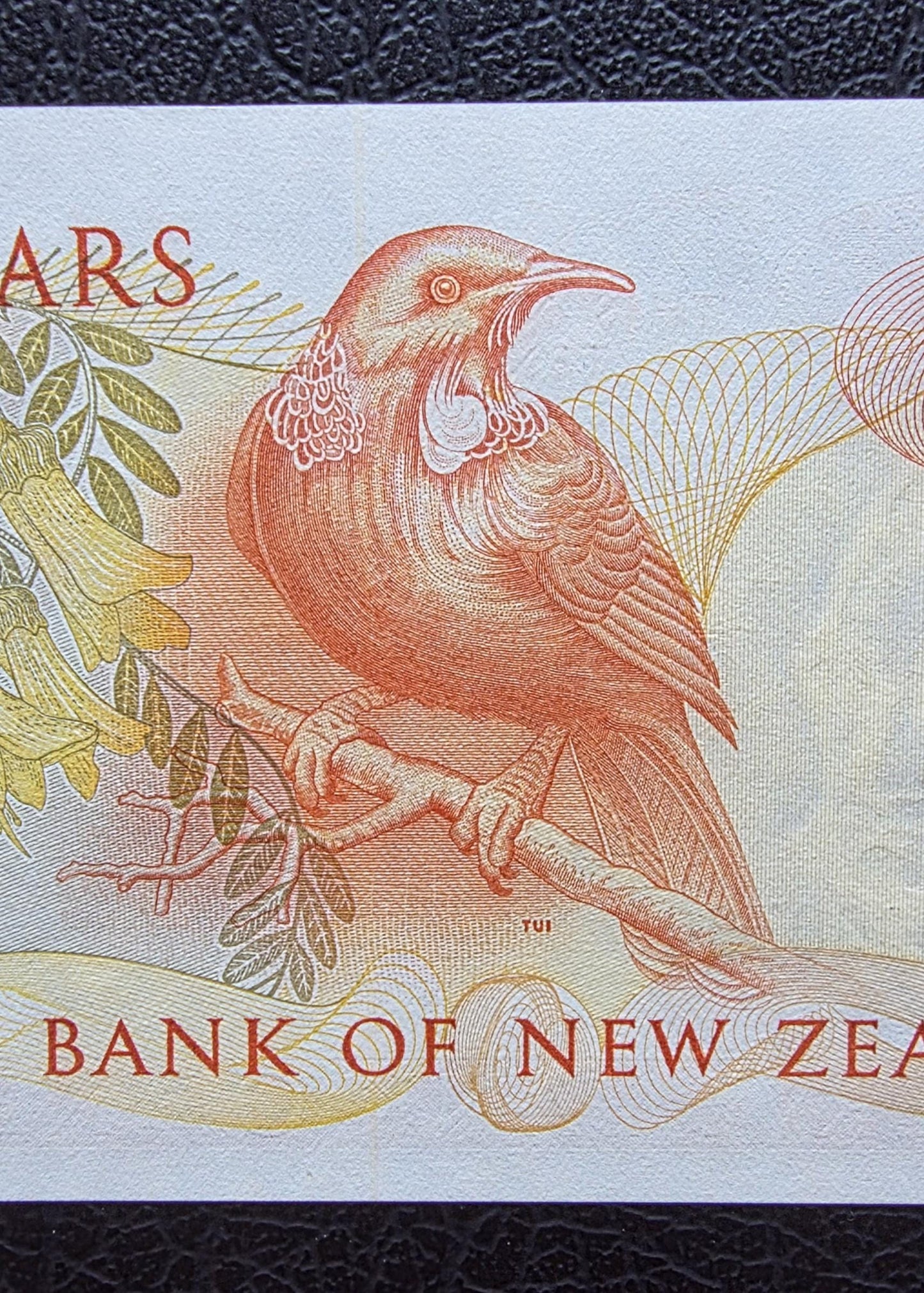 Five Dollar 1989- 1991 Newzealand Gem Uncirculated UNC (Low serial number)