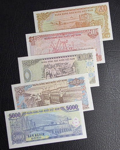 Set of 200, 500, 1000, 2000 and 5000 Dong 1980s Vietnam Uncirculated UNC (5 notes)