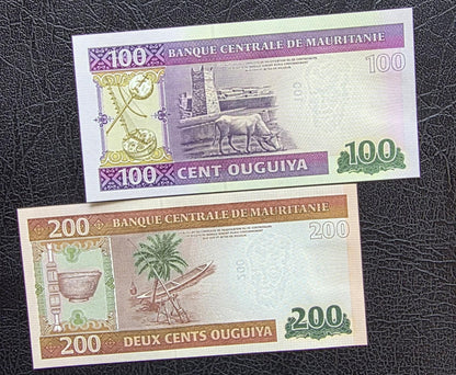 Set of 100, 200, 500 and 100O Uguiya 2022 Mauritania New Design Gem Uncirculated UNC (4 notes)