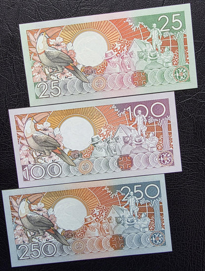 Set of 25, 100 and 250 Gulden 1980s Suriname Gem Uncirculated UNC (3 banknotes)