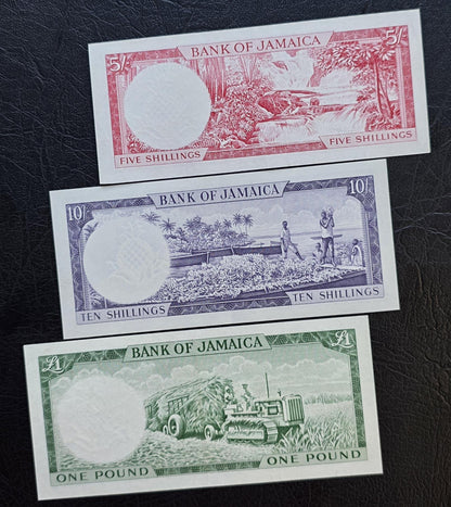 Set of 5, 10 and One (Shillings/ Pound) 1960s Pineapple Jamaica About Uncirculated AUNC Rare (Three notes)