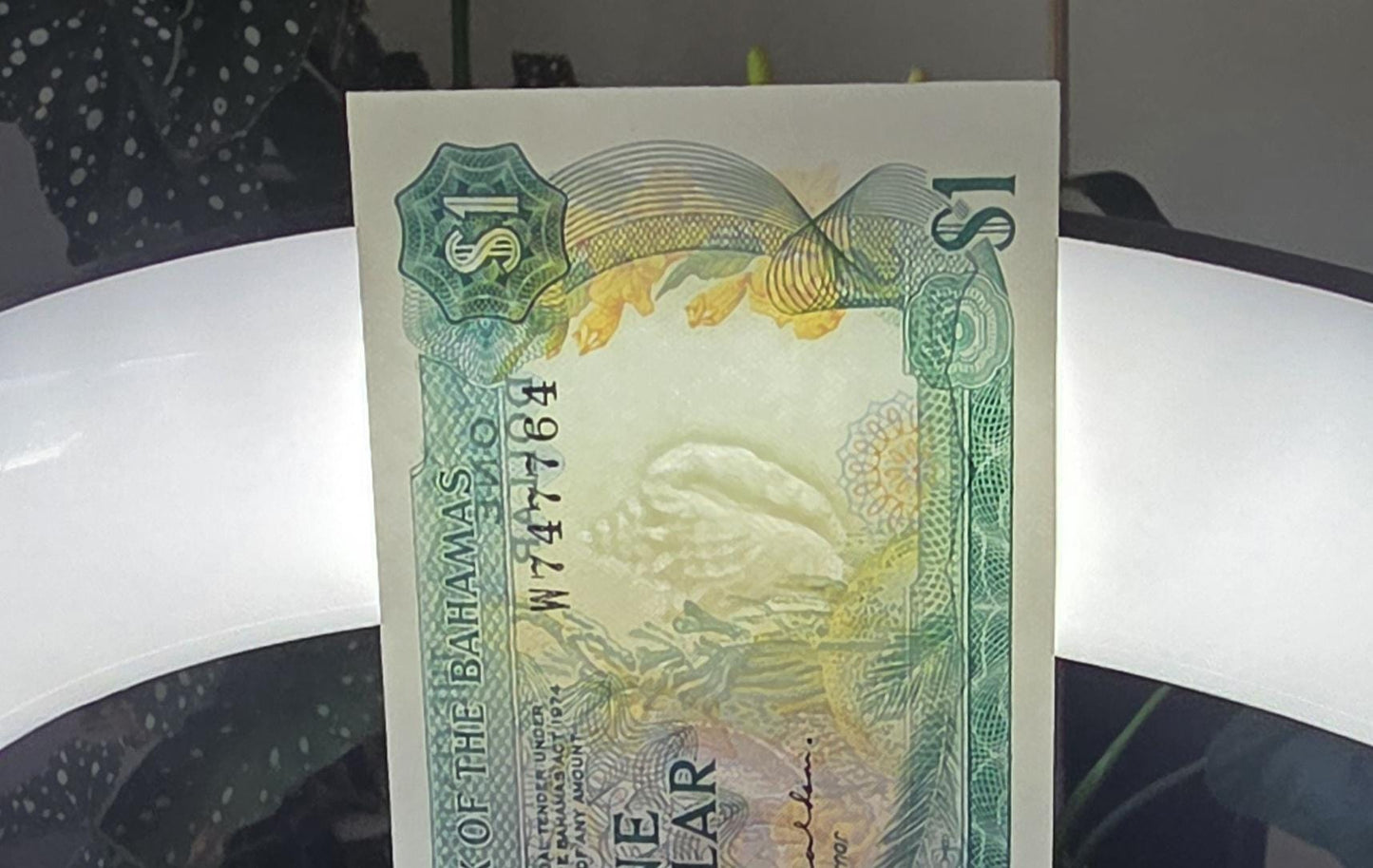 One 1 Dollar 1974 Bahamas British Colony Gem Uncirculated UNC