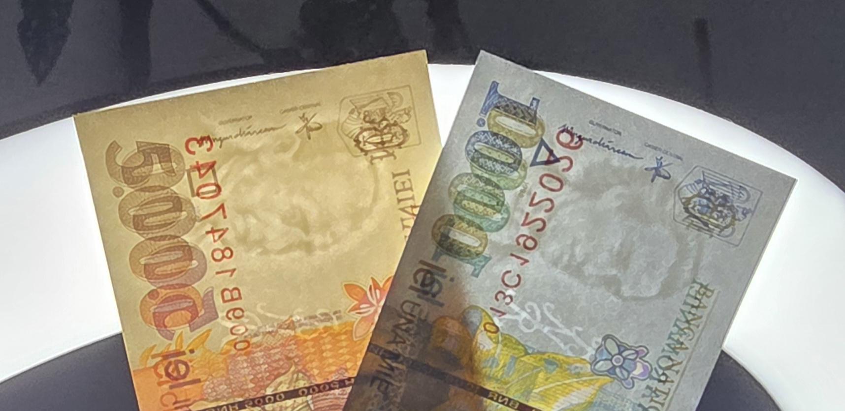 Set of 1000 and 5000 Lei Romania 1998 notes Gem Uncirculated UNC (2 banknotes)