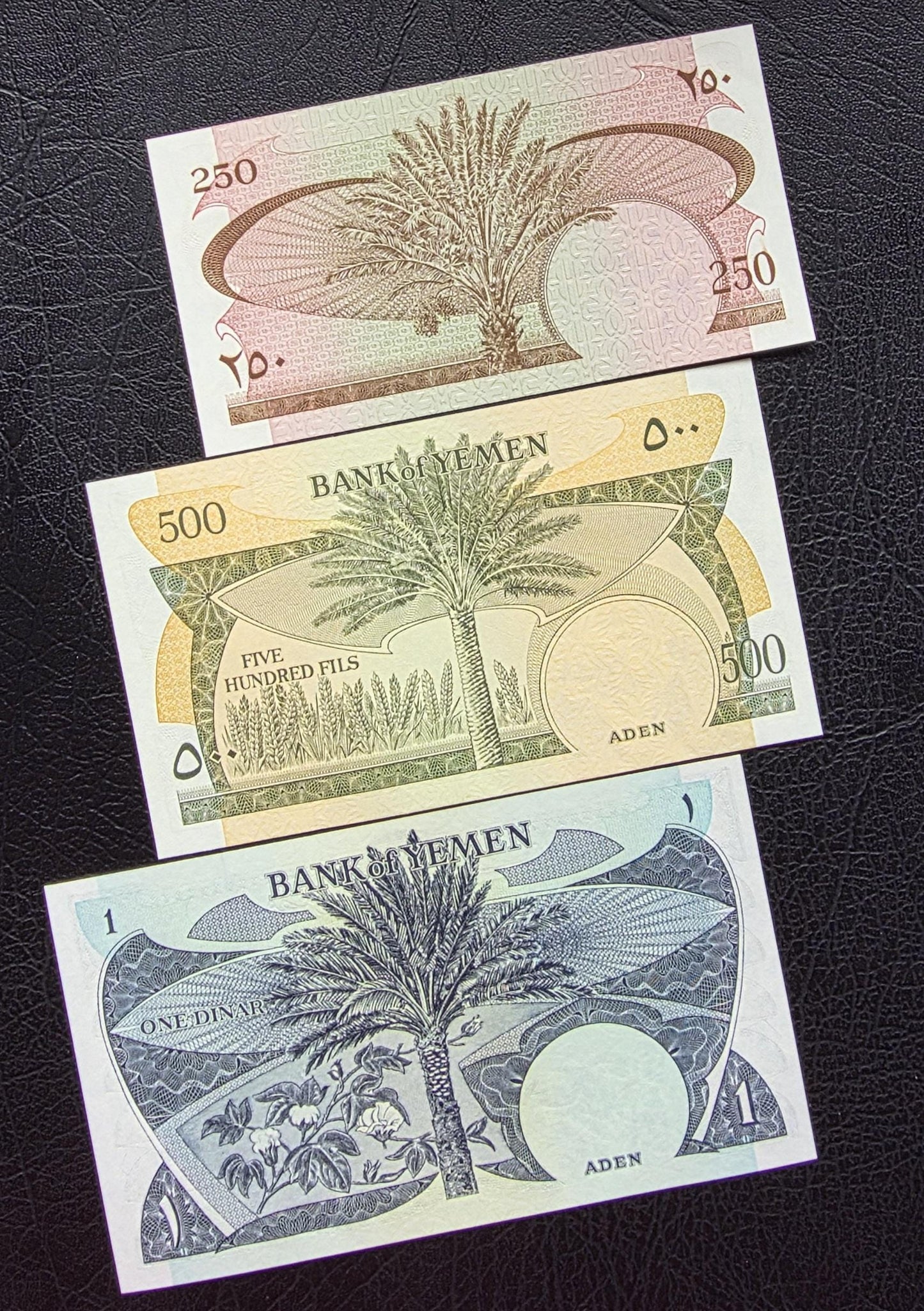 Set of 250, 500, 1, 5, and 10 Fils Dinars 1965-84 Yemen Democratic Republic UNC (5 banknotes)