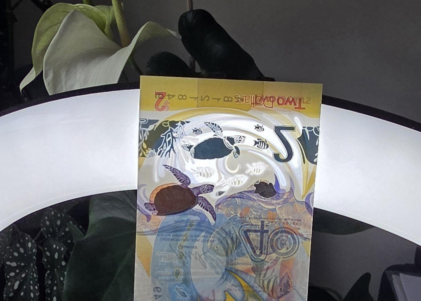 Two Dollars East Caribbean 2023- 2024 Commemorative Polymer notes Gem Uncirculated UNC
