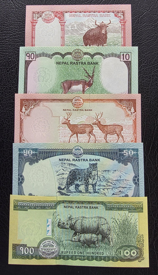 Set of 50, 10, and 20, 50 abd 100 Rupees 2019- 2020 Nepal Gem UNC (5 banknotes)