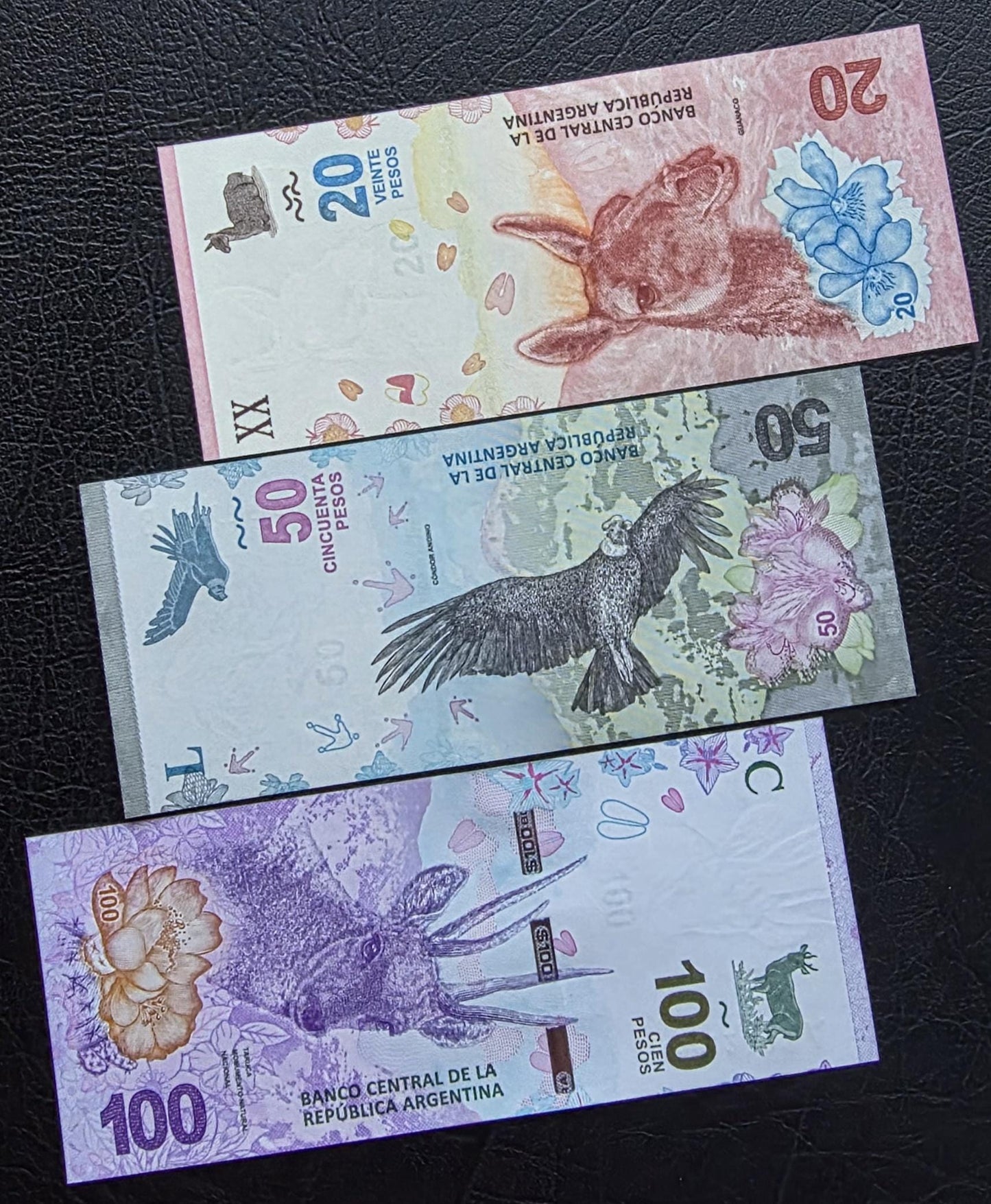 Set of 20, 50, and 100 Pesos 2017- 2019 Argentina Uncirculated UNC (three notes)
