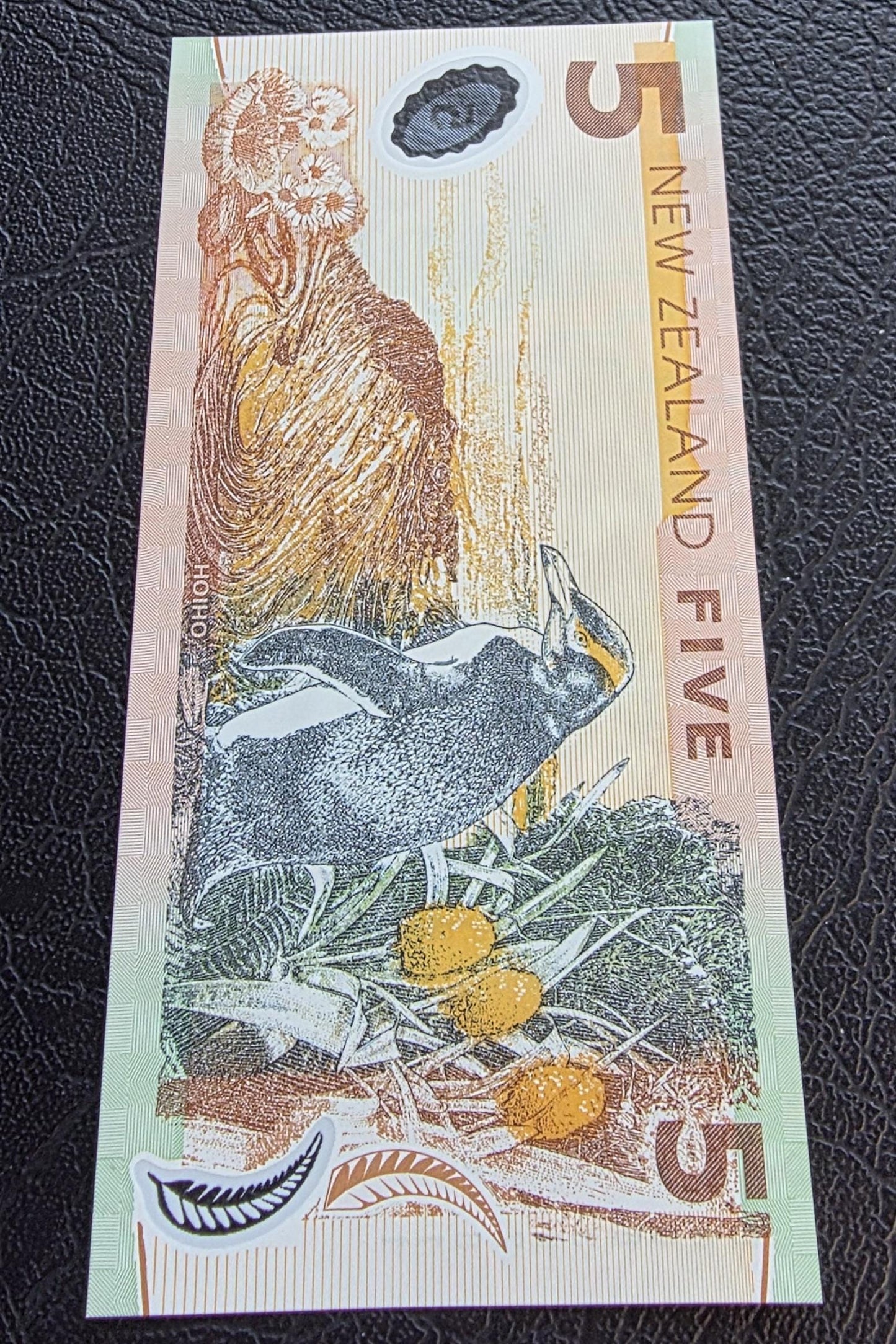 5 Dollars 2003 New Zealand Gem Uncirculated UNC (polymer)