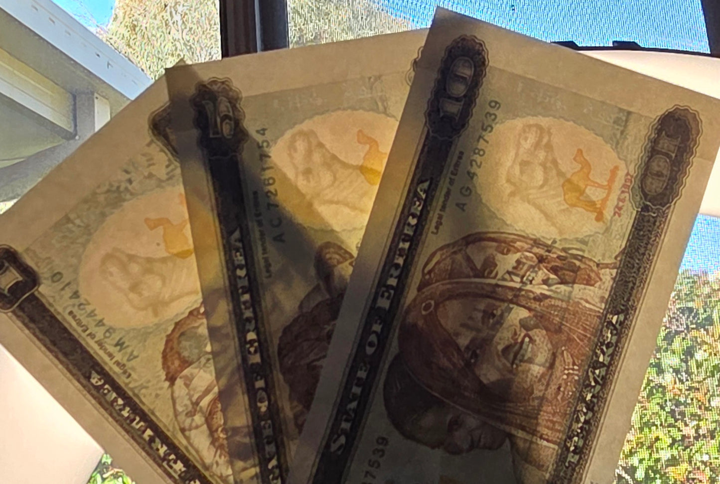 Eritrea Nakfa set of 1, 5 and 10 Nakfa 1990s Gem Uncirculated UNC (3 banknotes)