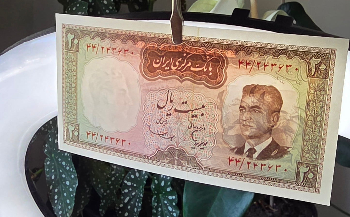 20 Rials 1965 Monarchy Portrait notes Uncirculated (UNC)