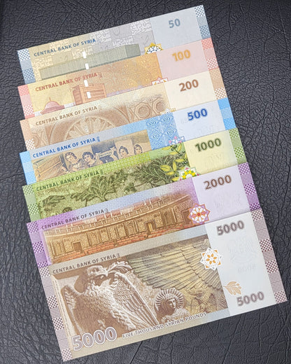 Full set Syria 50, 100, 200, 500, 1000, 2000, and 5000 Lira Syria Syrian Pounds Uncirculated UNC Crisp (Seven notes)