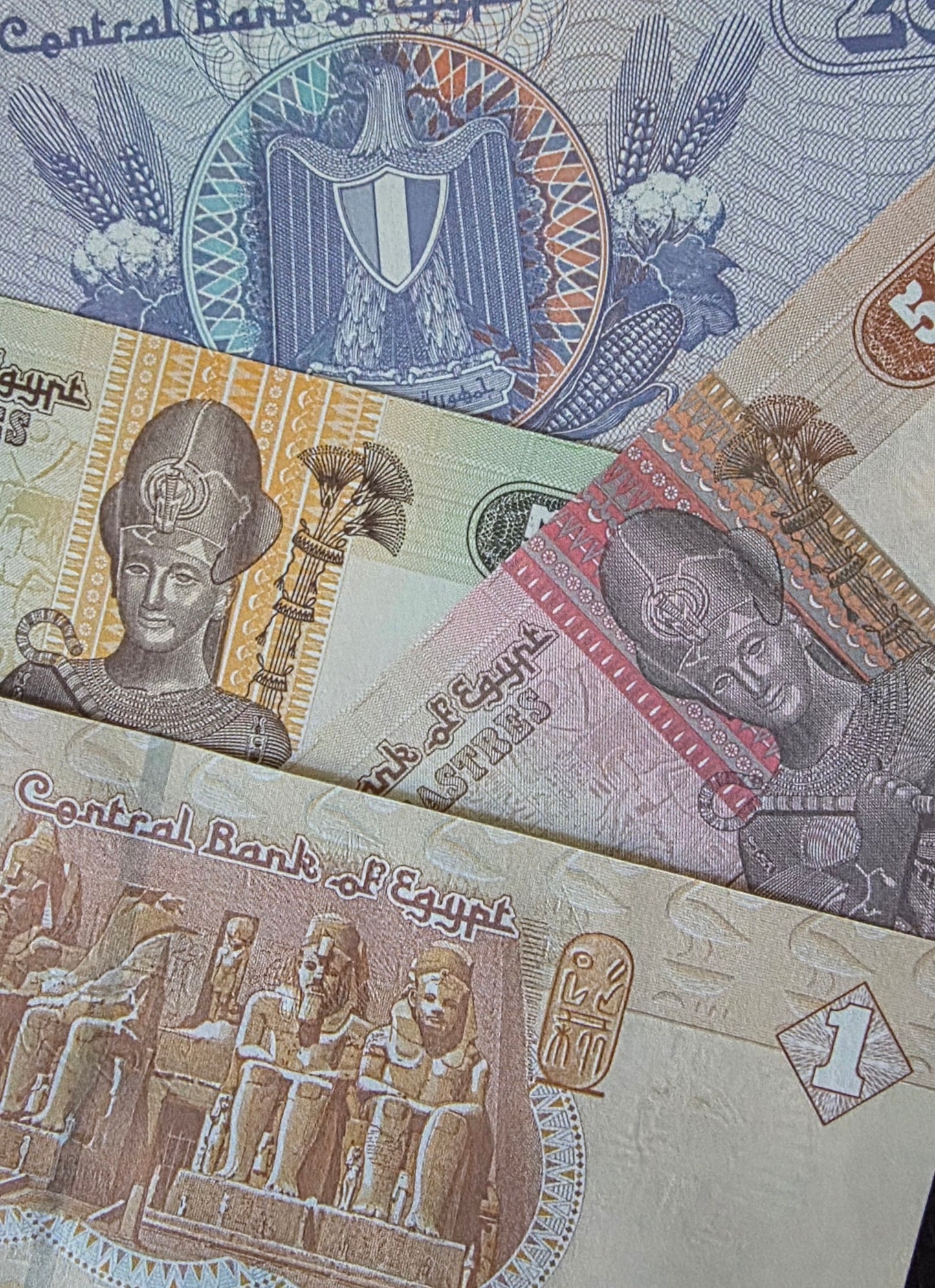 Egypt Pounds set of 25, 50 (×2) and 1 2019 Gem Uncirculated UNC (4 banknotes)