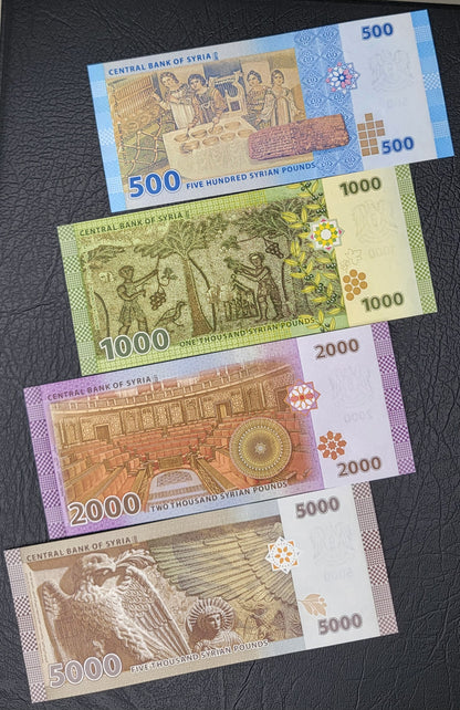 Full set Syria 50, 100, 200, 500, 1000, 2000, and 5000 Lira Syria Syrian Pounds Uncirculated UNC Crisp (Seven notes)