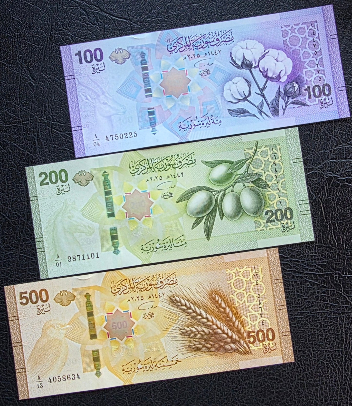 Full set of 10, 25, 50, 100, 200, and 500 Lira Pounds New Version 2025 Uncirculated UNC (six notes)