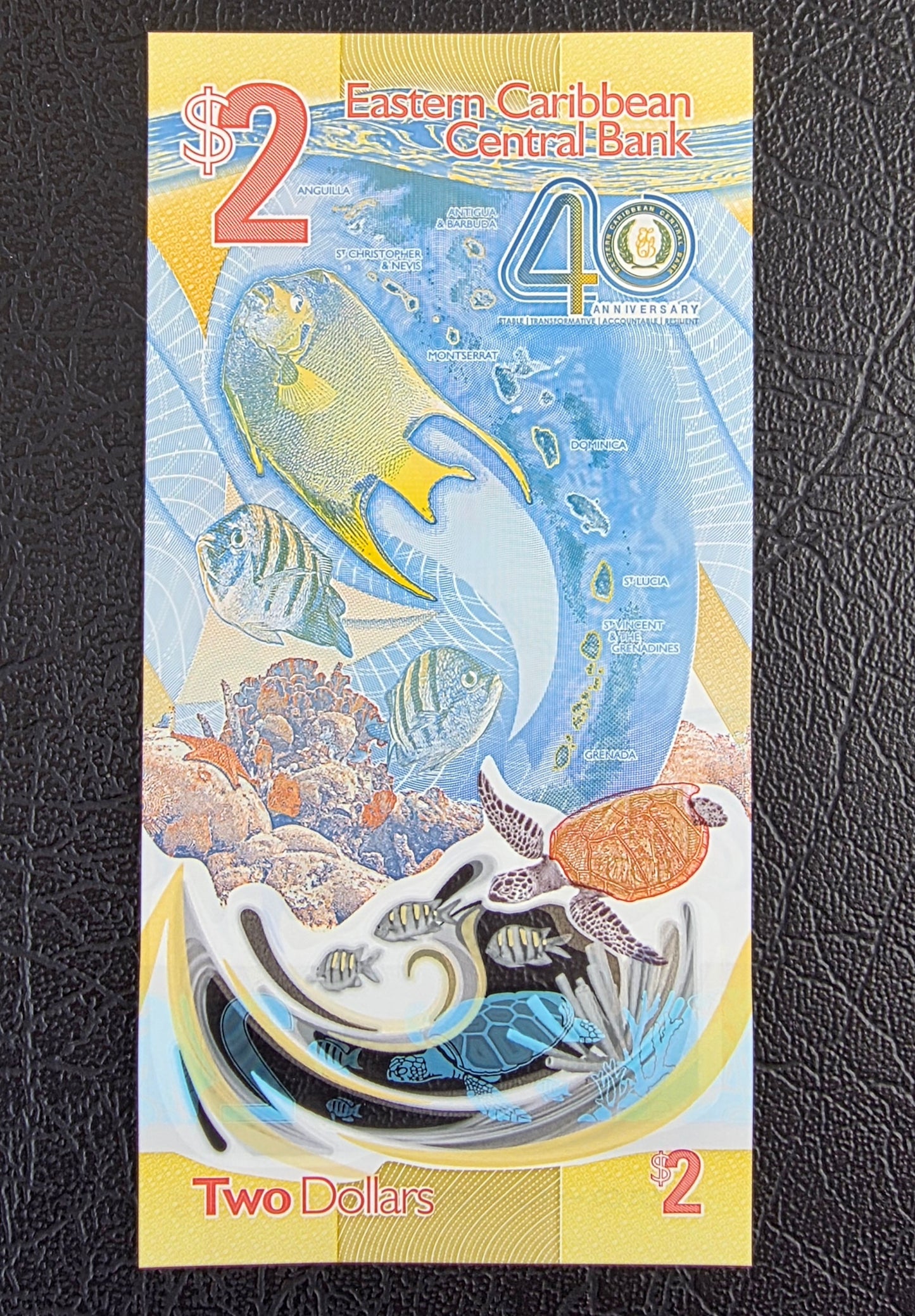 East Caribbean 2, 5 and 10 Dollars 2019- 2024 Gem Uncirculated UNC Polymer