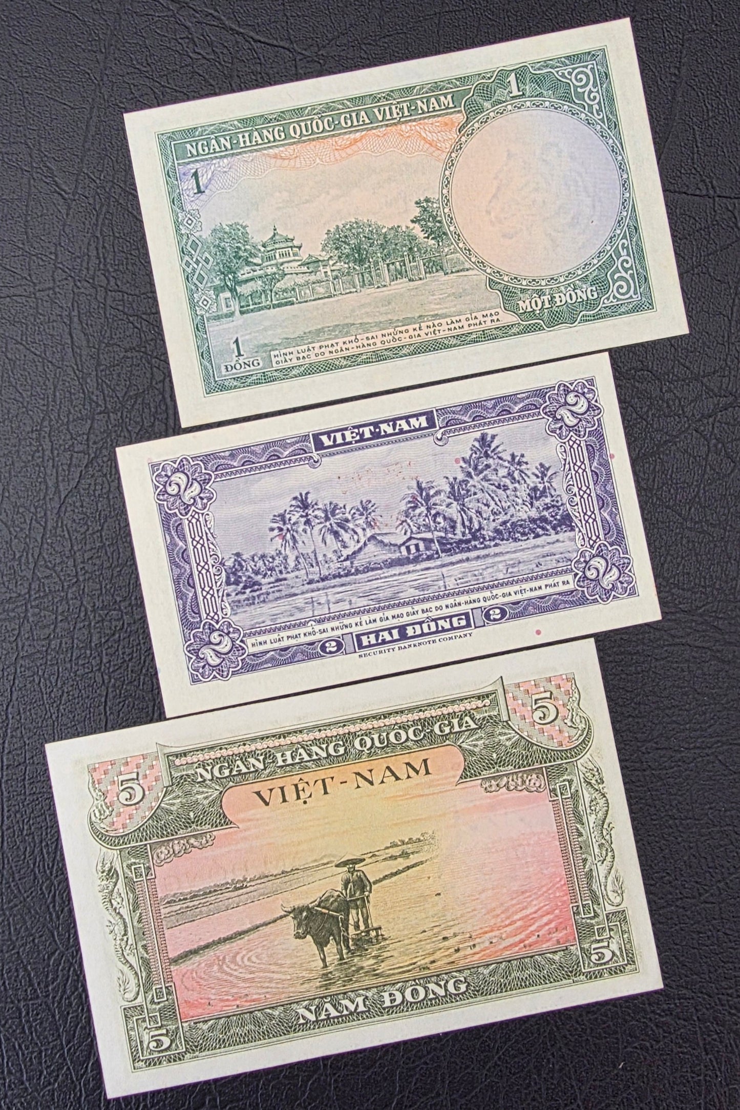 Set of 1, 2, 5, 50, 100, 500 and 1000 Dong Vietnam Uncirculated UNC (7 notes)