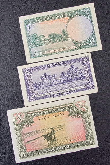 Set of 1, 2, 5, 50, 100, 500 and 1000 Dong Vietnam Uncirculated UNC (7 notes)
