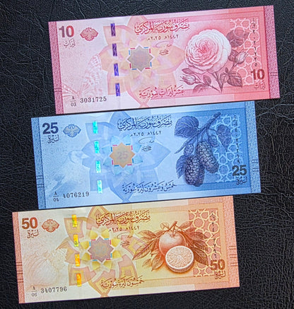 Full set of 10, 25, 50, 100, 200, and 500 Lira Pounds New Version 2025 Uncirculated UNC (six notes)