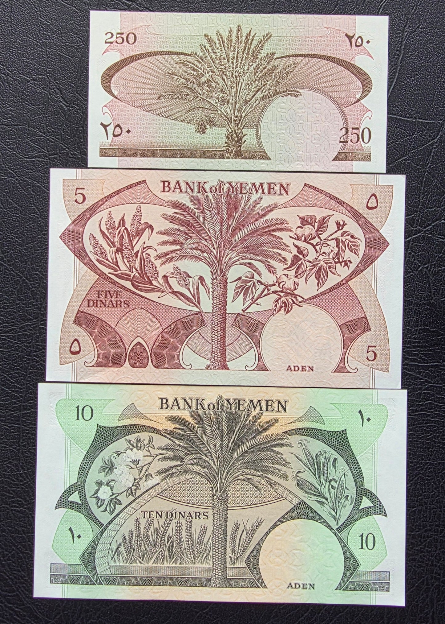 Set of 250 Fils, 5, and 10 Dinars 1965-84 Yemen Democratic Republic Uncirculated UNC (3 banknotes)
