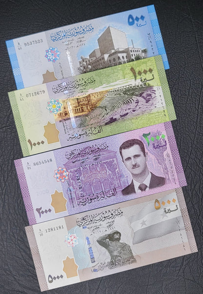 Full set Syria 50, 100, 200, 500, 1000, 2000, and 5000 Lira Syria Syrian Pounds Uncirculated UNC Crisp (Seven notes)