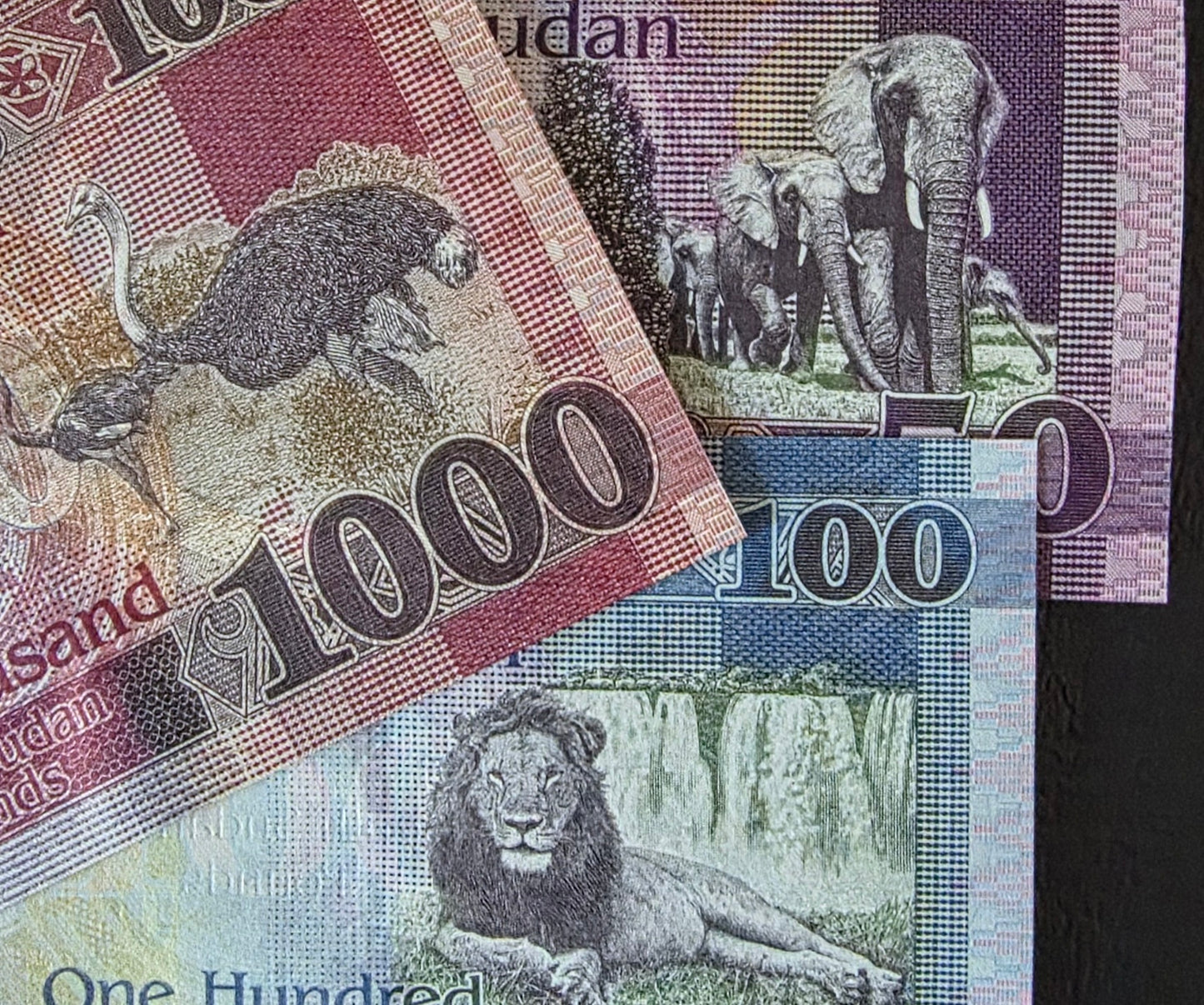 South Sudan set of 50, 100 and 1000 Pounds 2019- 2024 Gem Uncirculated UNC (3 banknotes)
